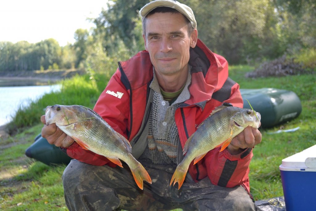 Окунь 3