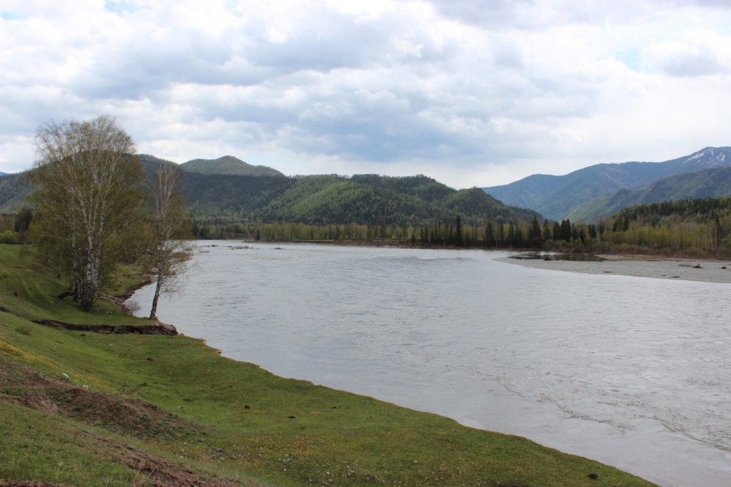 Катунь