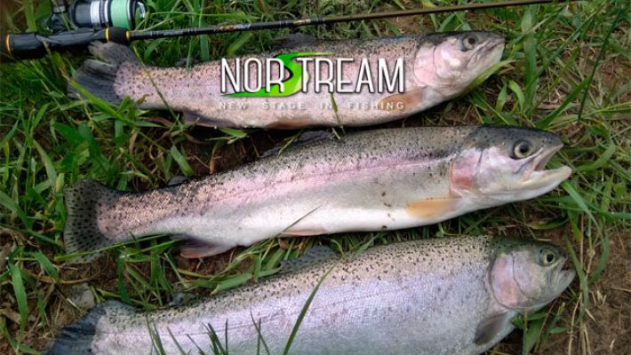 12 отчетов - 4 спиннинга в подарок. Итоги тестирования от Norstream