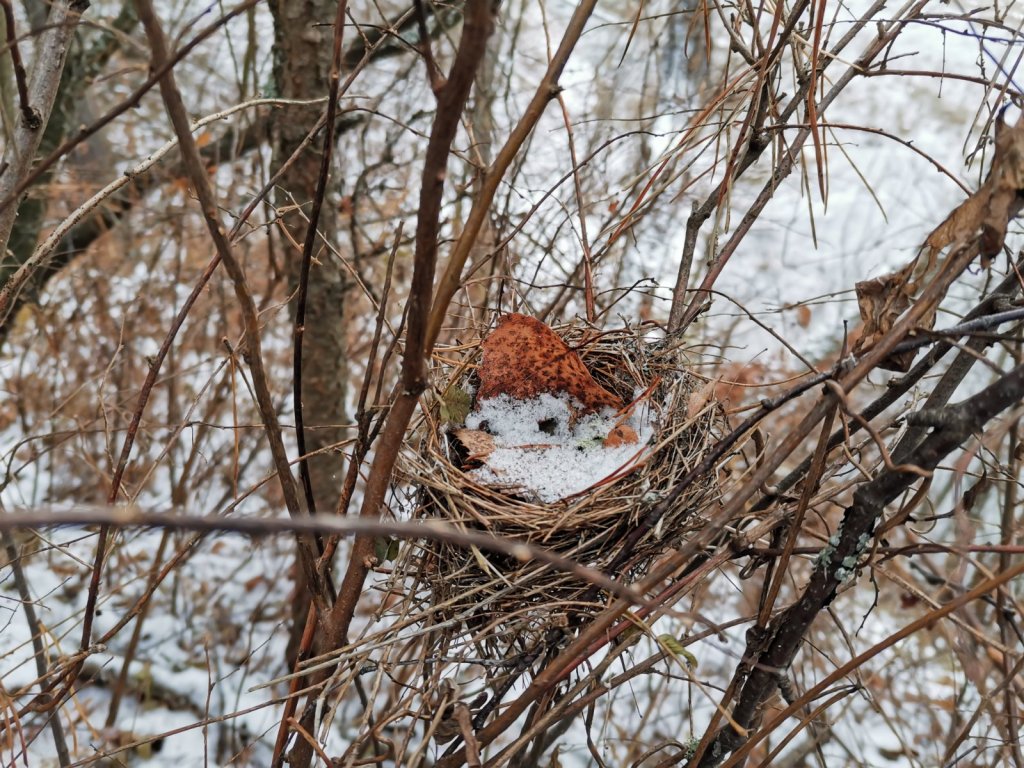 Улетели