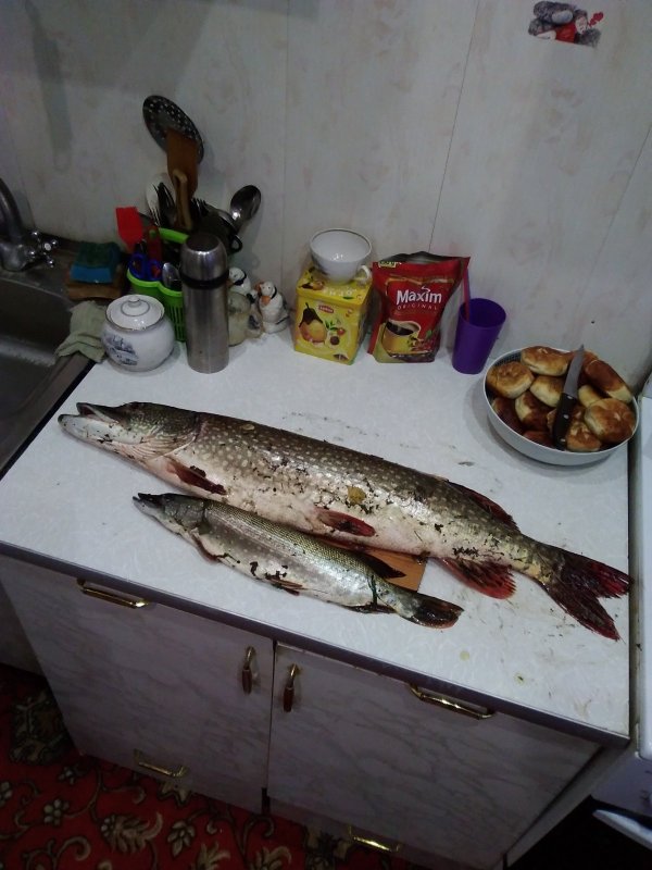 Клара Захаровна и Семён Семёныч))