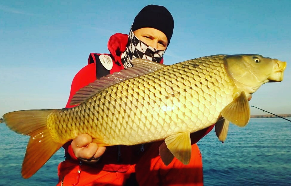 12.10.19 Сазан 5500