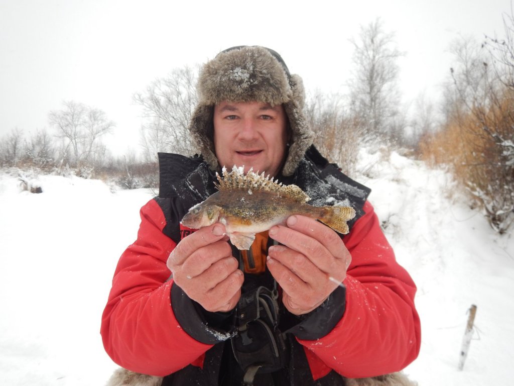 мегаколючка