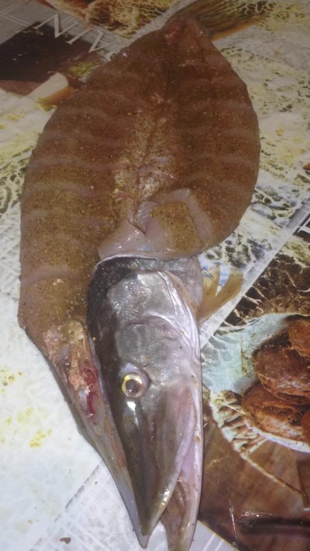 Юкола из щуки.