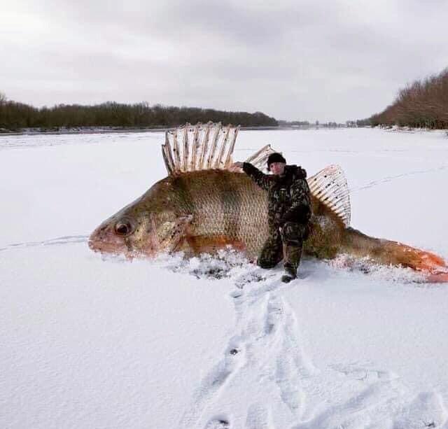 р.Иня..))