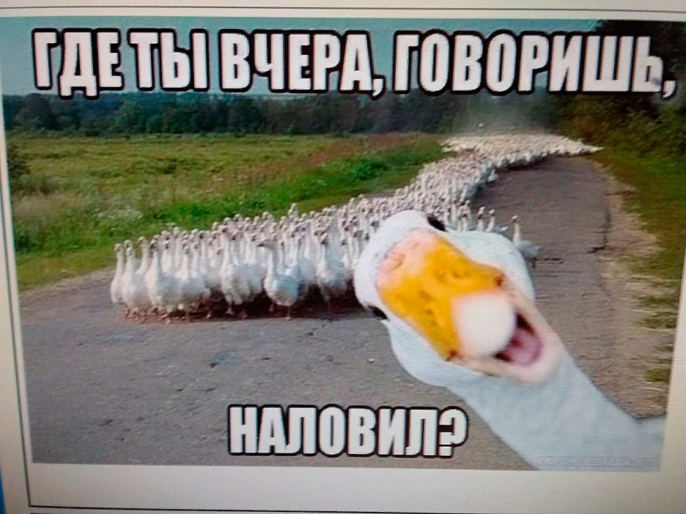 Как точно подмечено!
