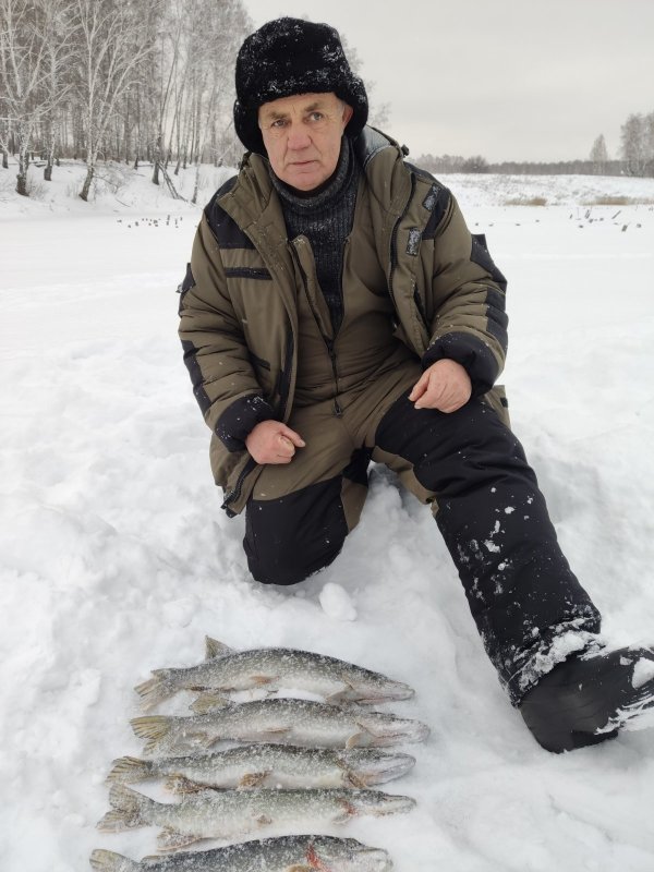 Неплохой день