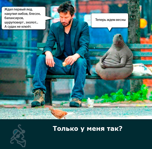 Когда же хапок?