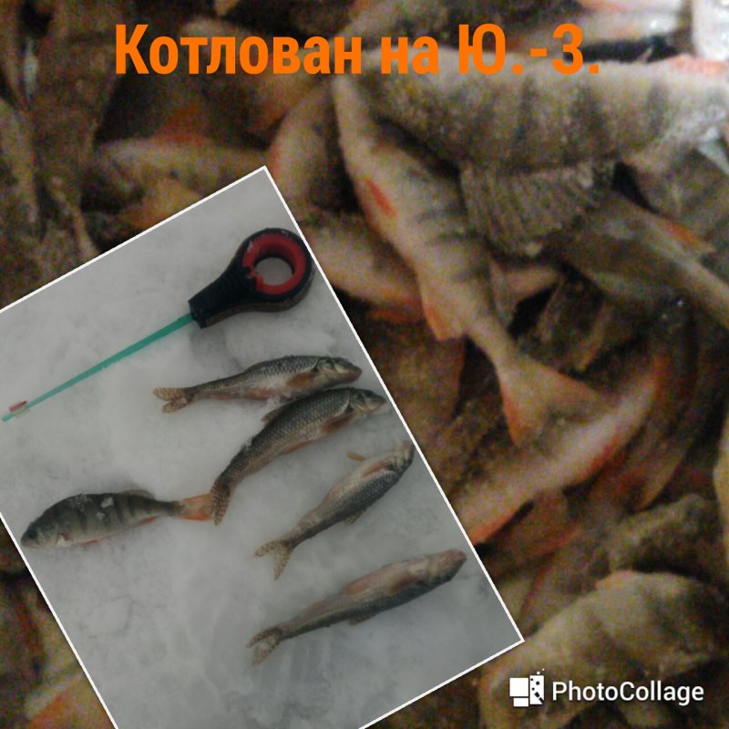 Водоём за огородами.