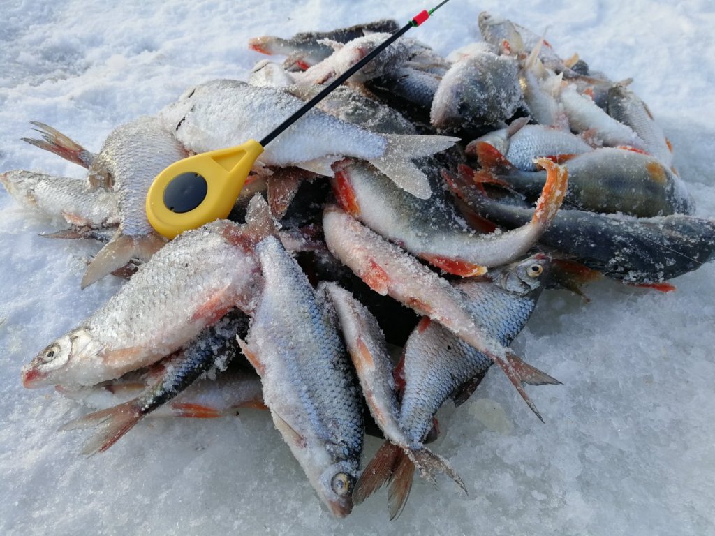 Плотвинная горка