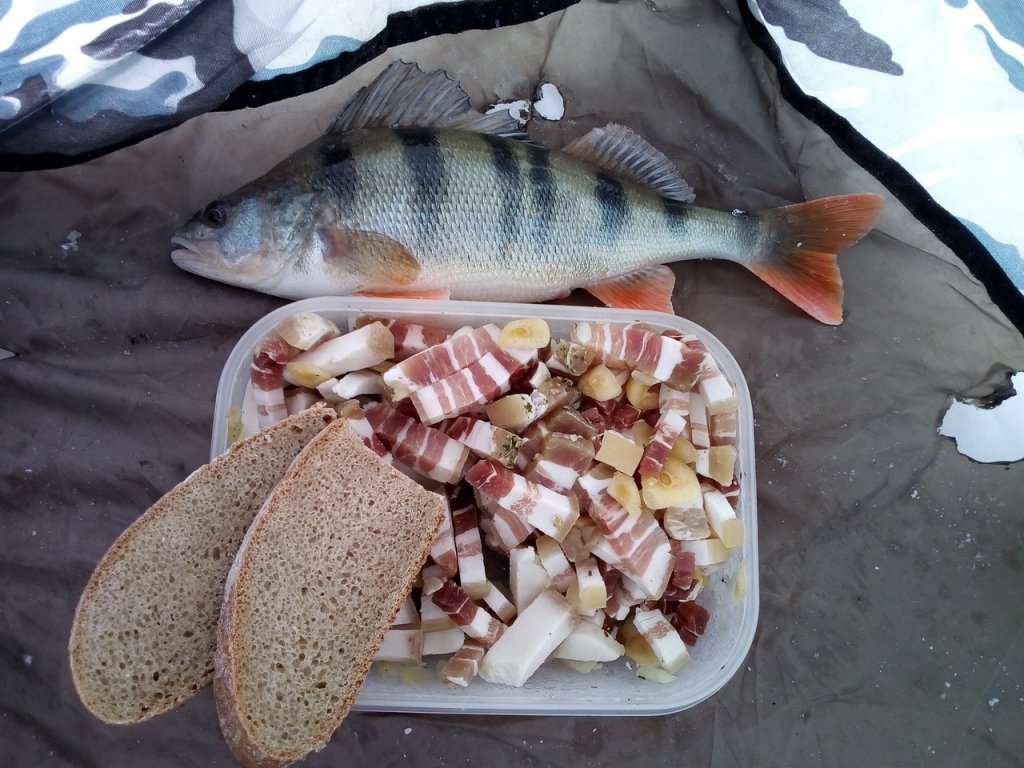Сала много не бывает