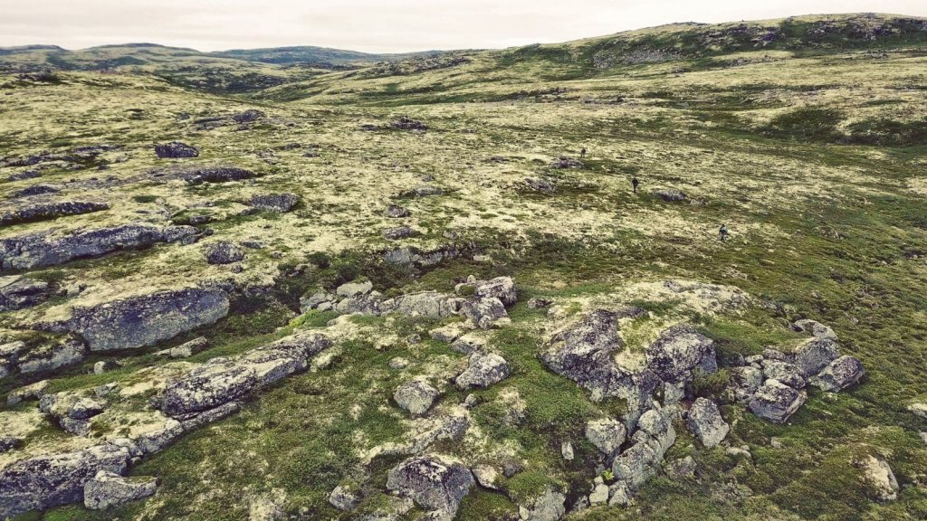 Рыбалка в тундре. Только трофеи. Суровый край голодных медведей