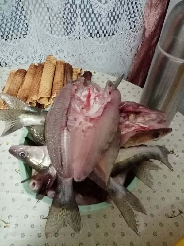 К засолу готовы