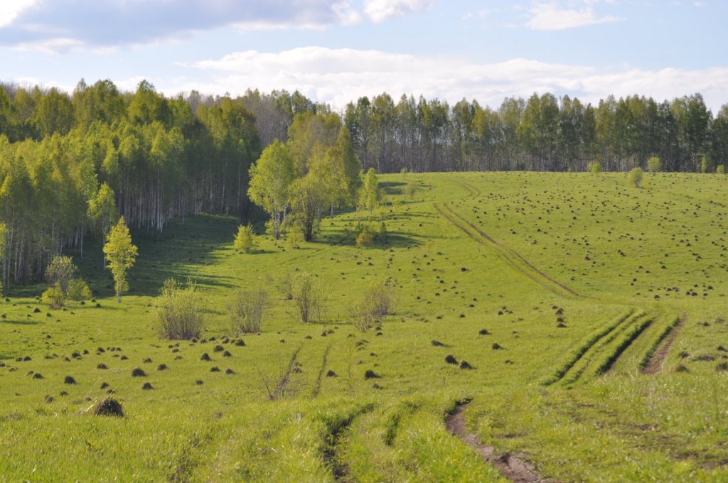 Весеннее настроение