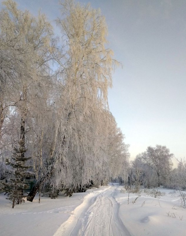 Изморозь.