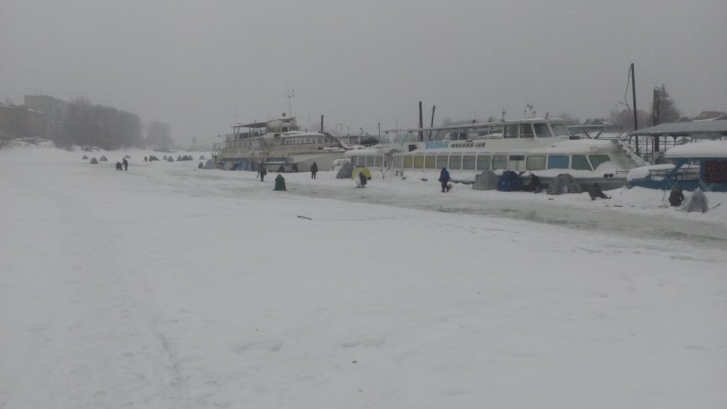 Дождливое утро рыбалке не помеха.
