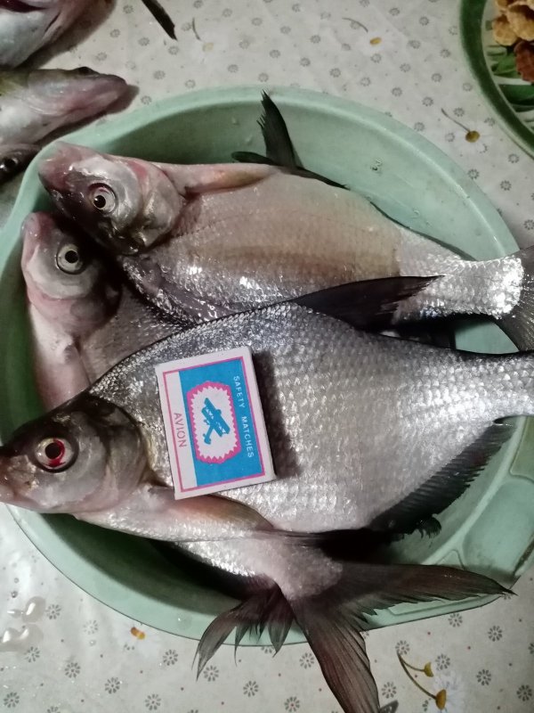 Клюнули