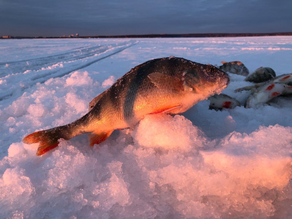 Солнечно закатный