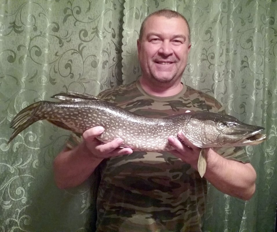 Будущие котлеты...