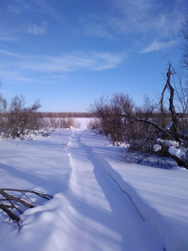 тоже место зима