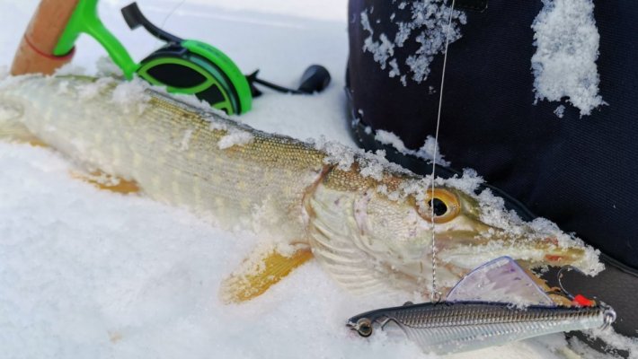 Конкурс «ЗаВИБись с TopBaits» - осталась неделя