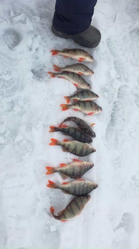 Морские.