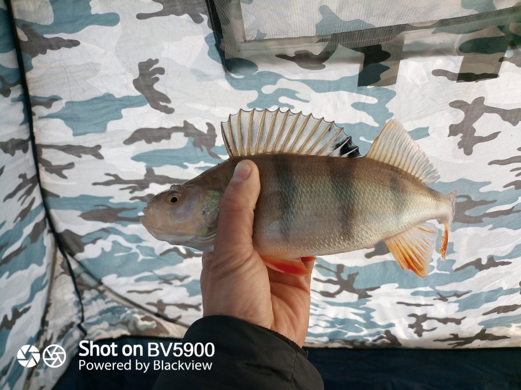 Морской размерчик.