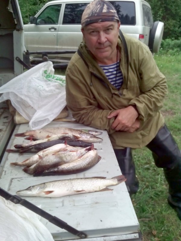 "Шнурки"