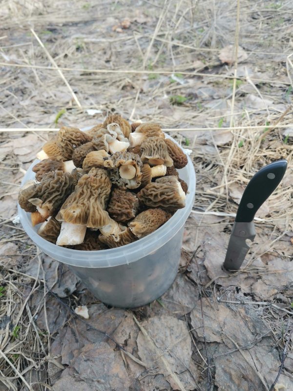 Пошёл сенокос :)