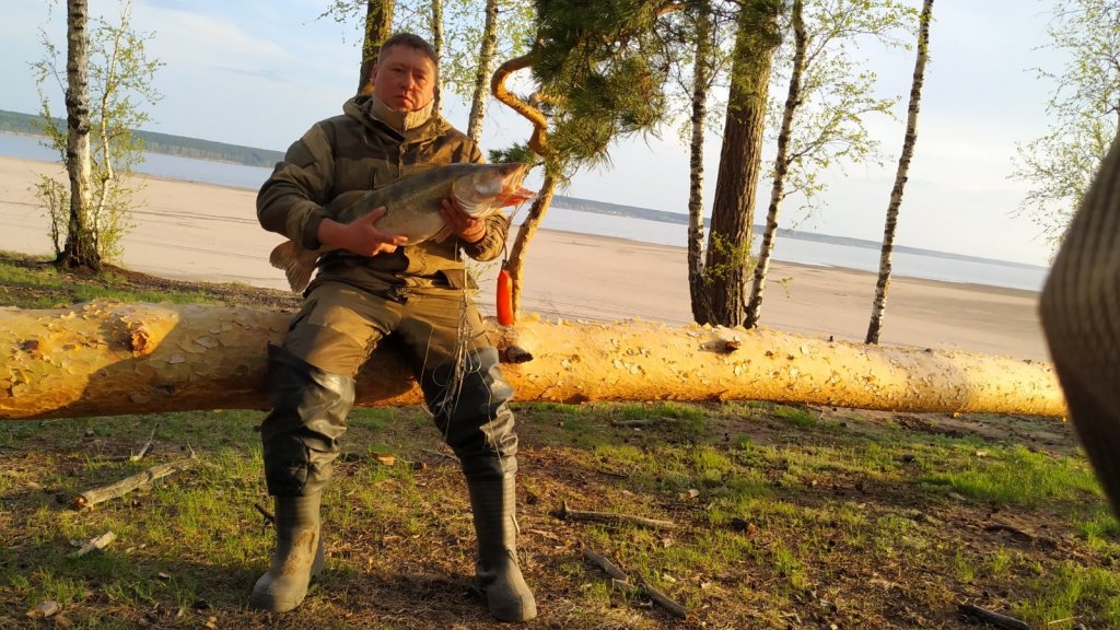 Майский подарок