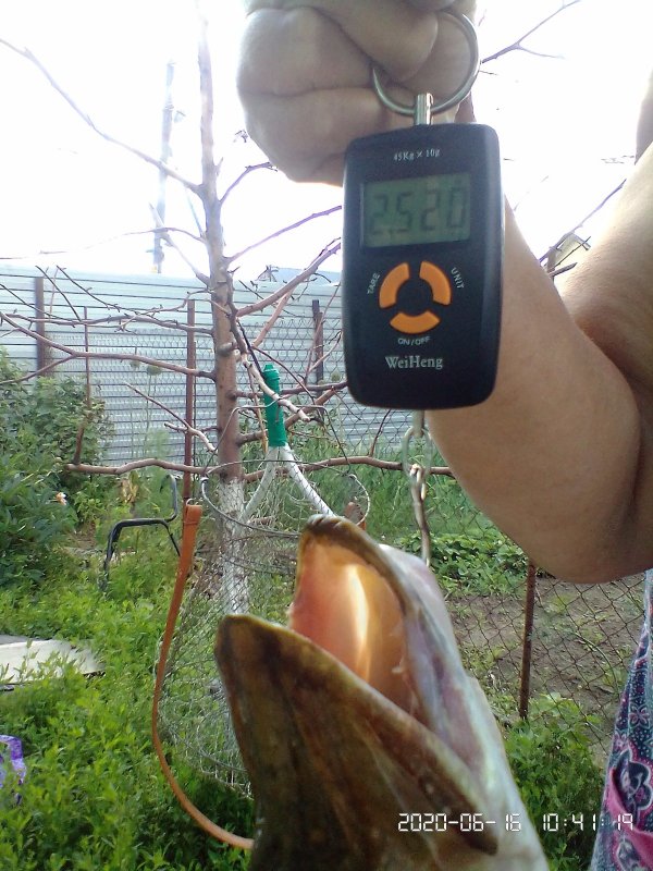 С почином!