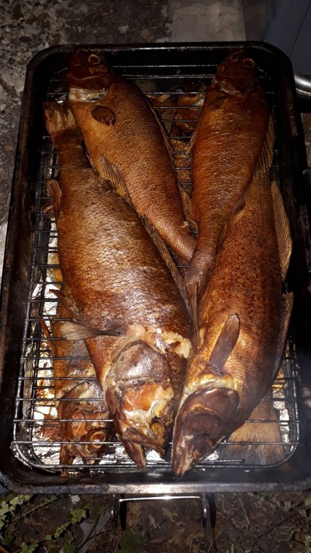 Любимая рыба в плане копчения