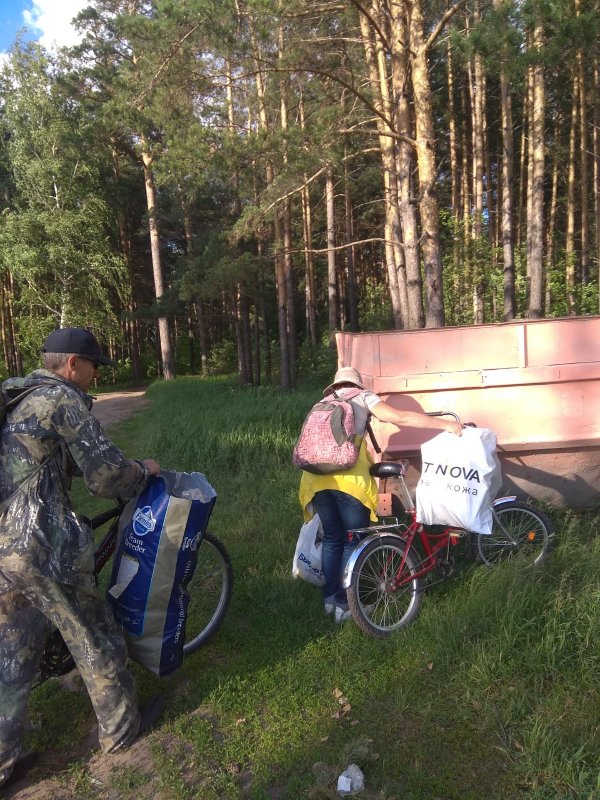 Бердск. Чайка,