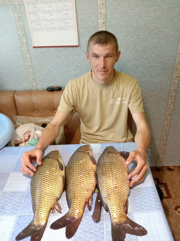 Карп.