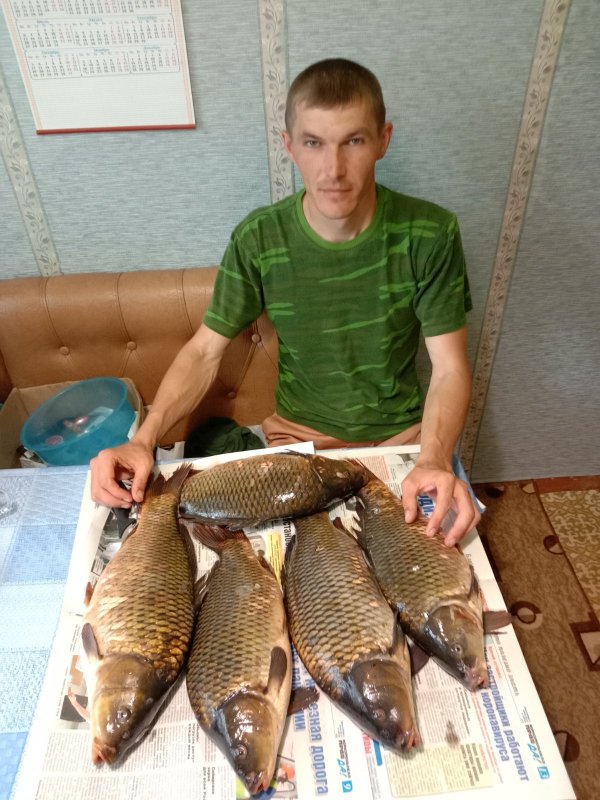 Сазанчики