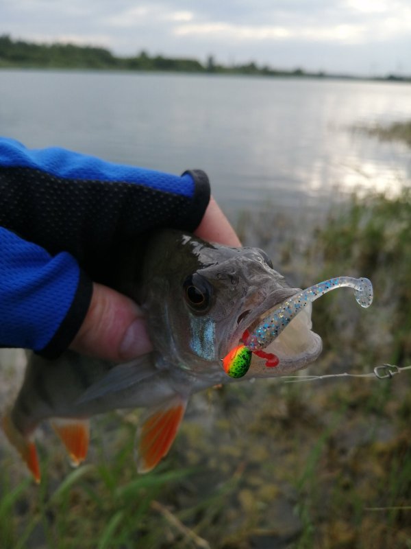 Мормышка, и малёк ОЛТА.