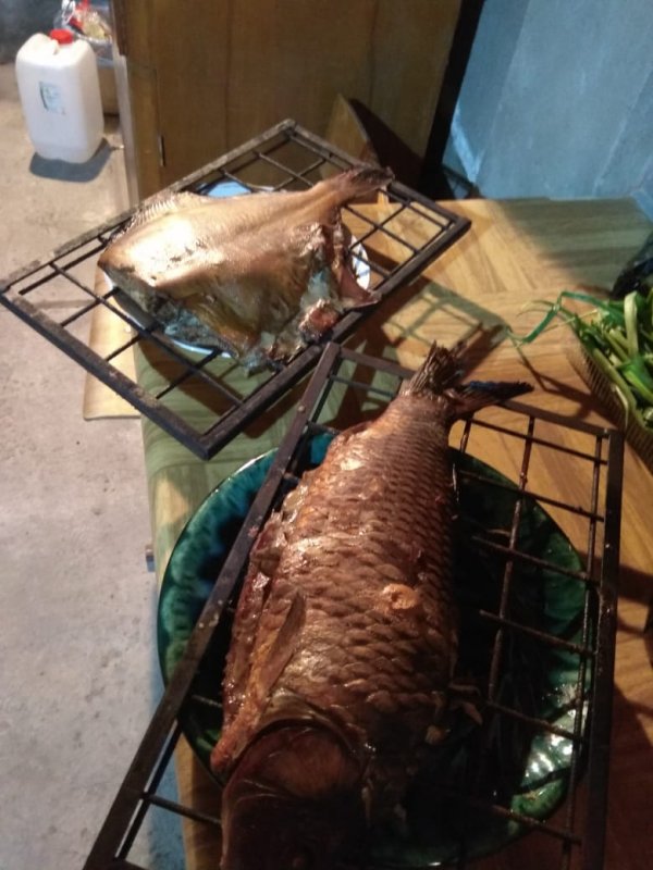 А сазанчик такой нежный и жирненький)
