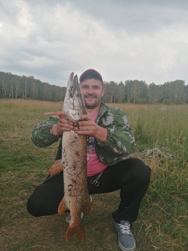Щука монстр