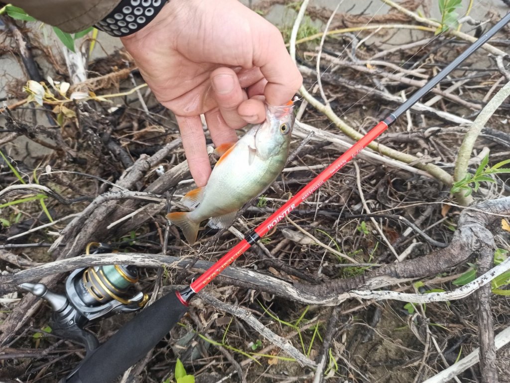Мормышинг Maximus Pointer 22ul 0.8-6.6g