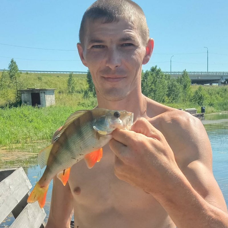 Окунь.