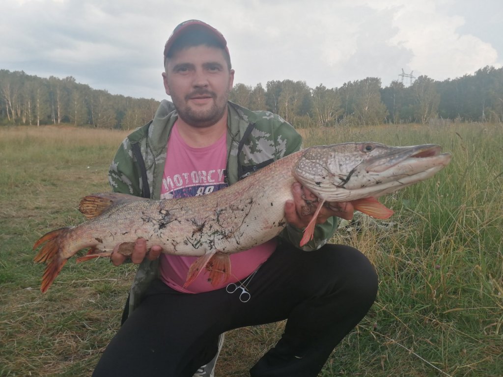Щука монстр ?