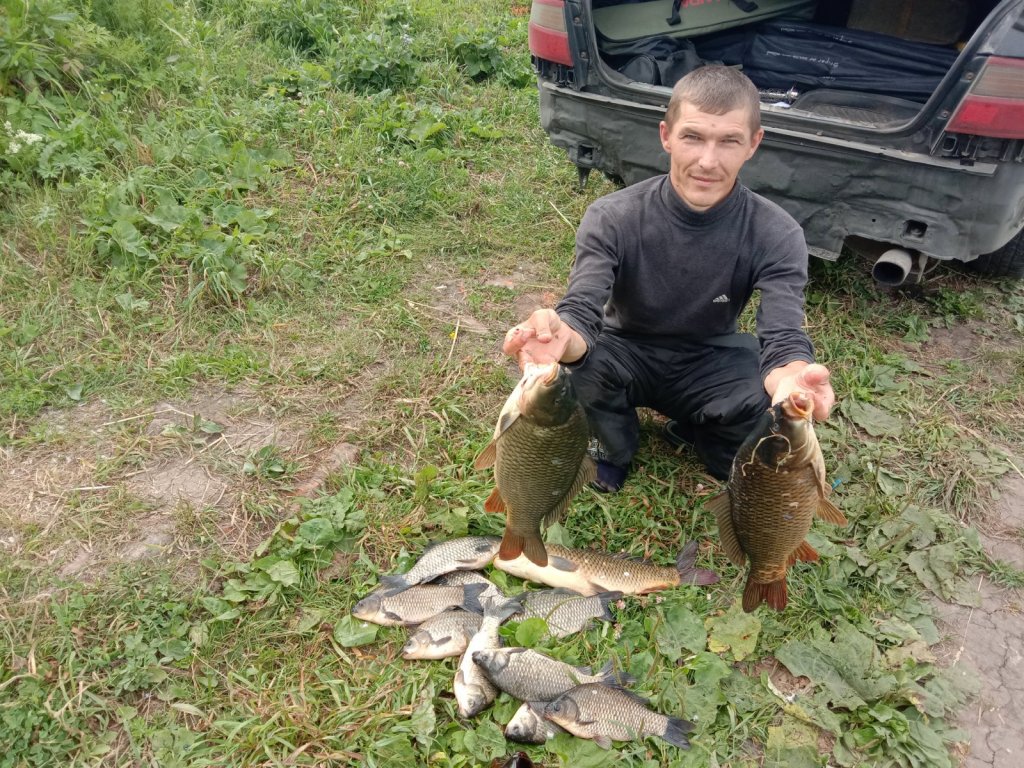 29.06.2020