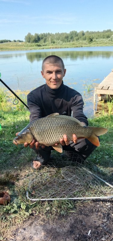Карп.