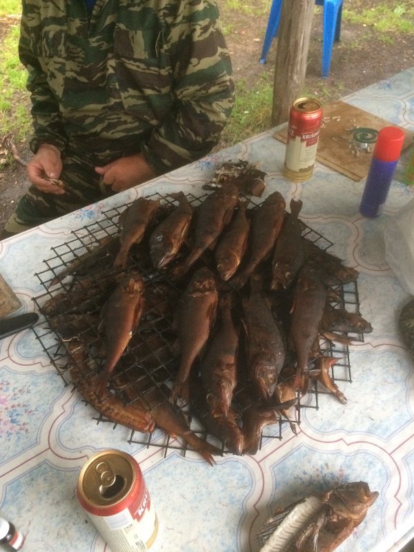 Закоптили