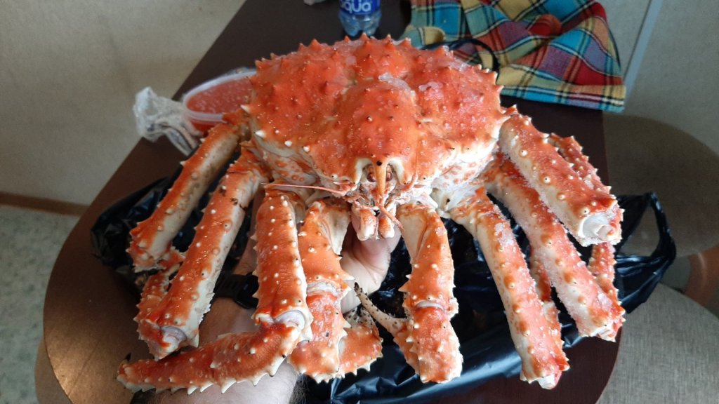 Крабик
