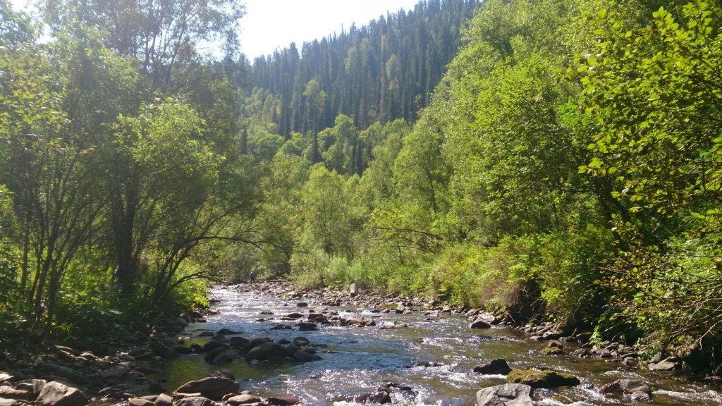 р. Самыш