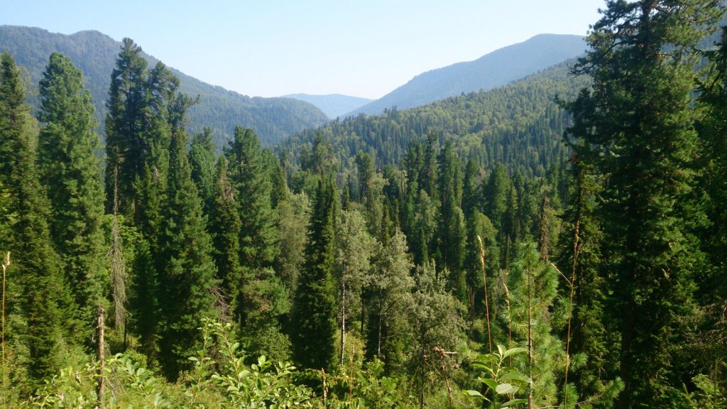 Долина реки Самыш