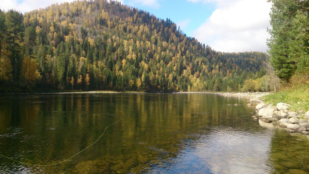 Плес