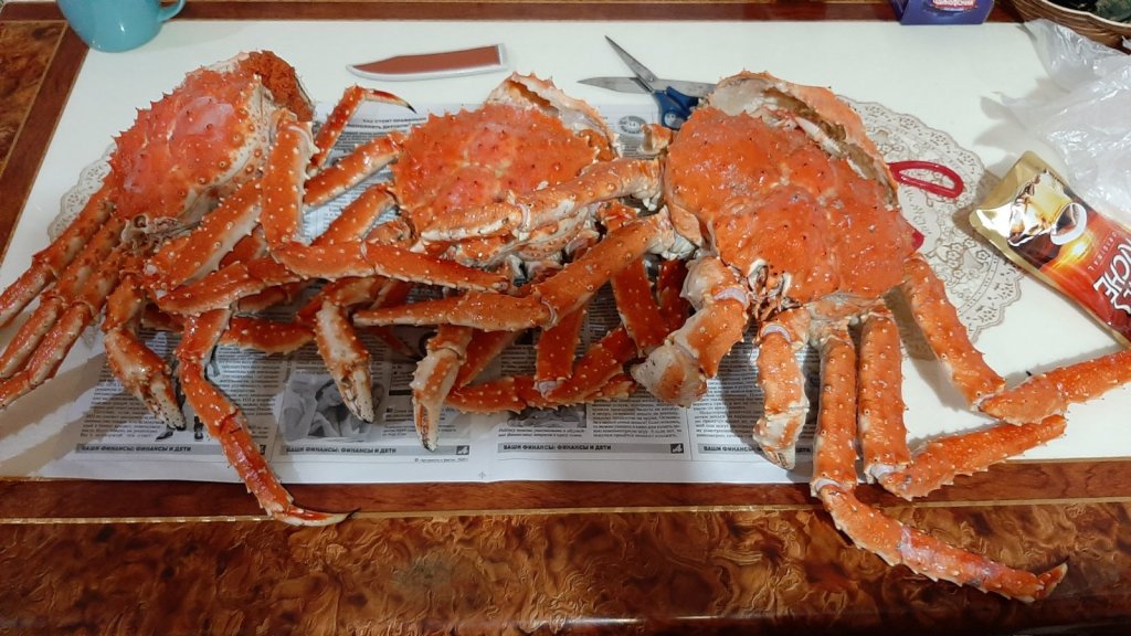 Сахалинские крабики