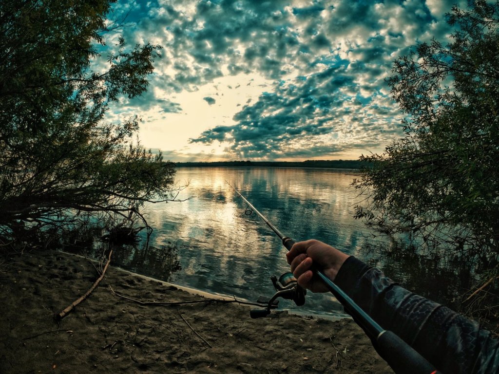 Утро на реке. В поисках щуки